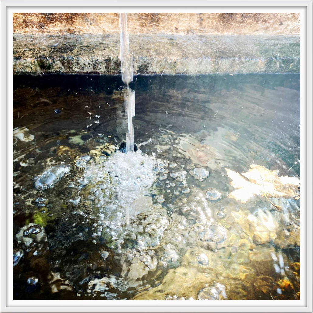 Fountain I