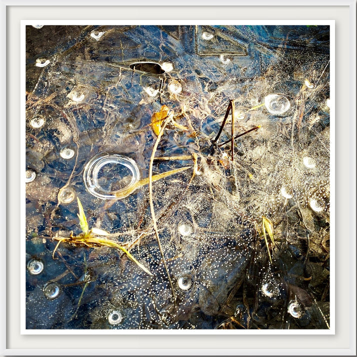 Within II
